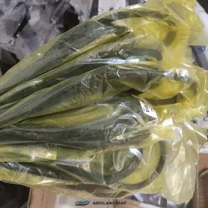 لاستیک دور شیشه عقب ماکسیما